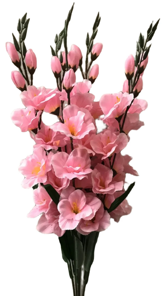 46565 Gladiola Bush X6 PINK