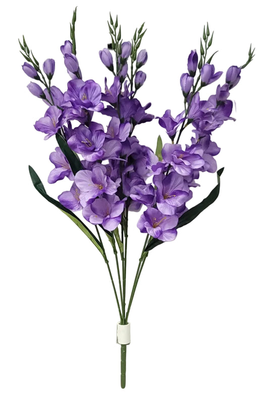 46566 | Lg Gladiolus Bush x6 | Purple