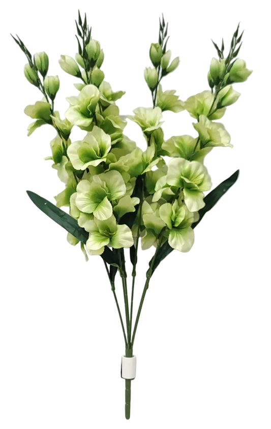 46569 | Lg Gladiolus Bush x6 | Green