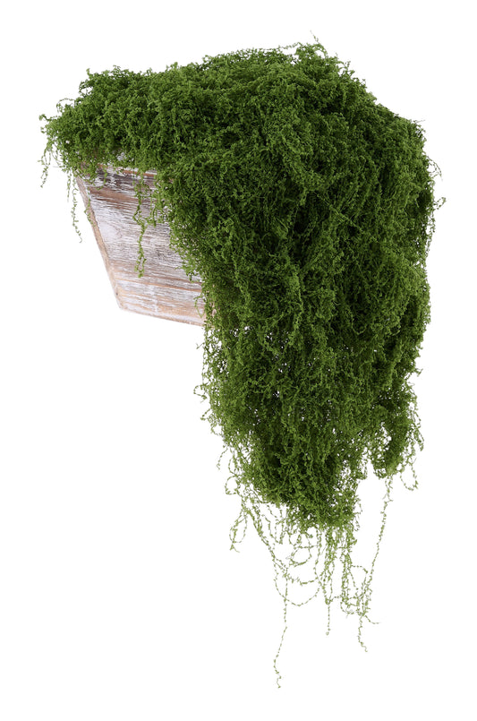 MD175531 | 100G |  Fabric Moss In Bag |  Dark Green