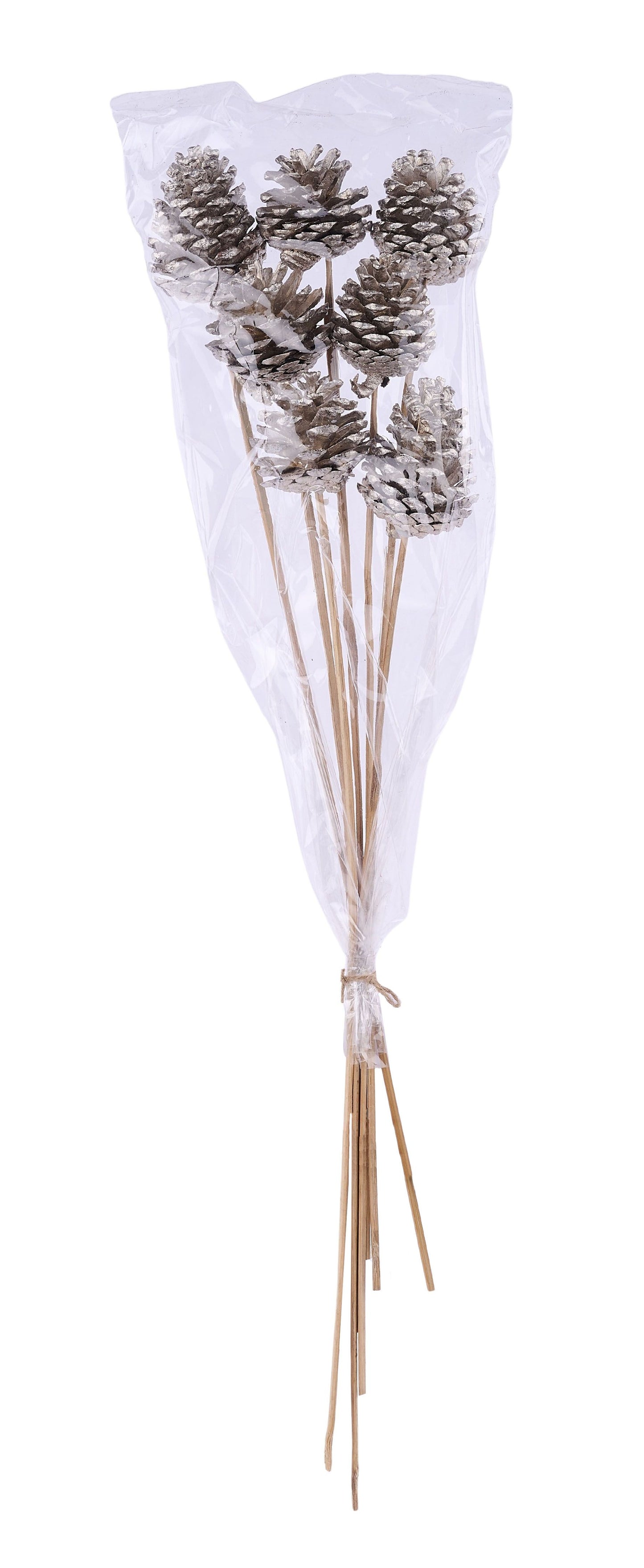 XD141533 | 21"L | Blue Pine Pinecone Bundle x7 | Champagne