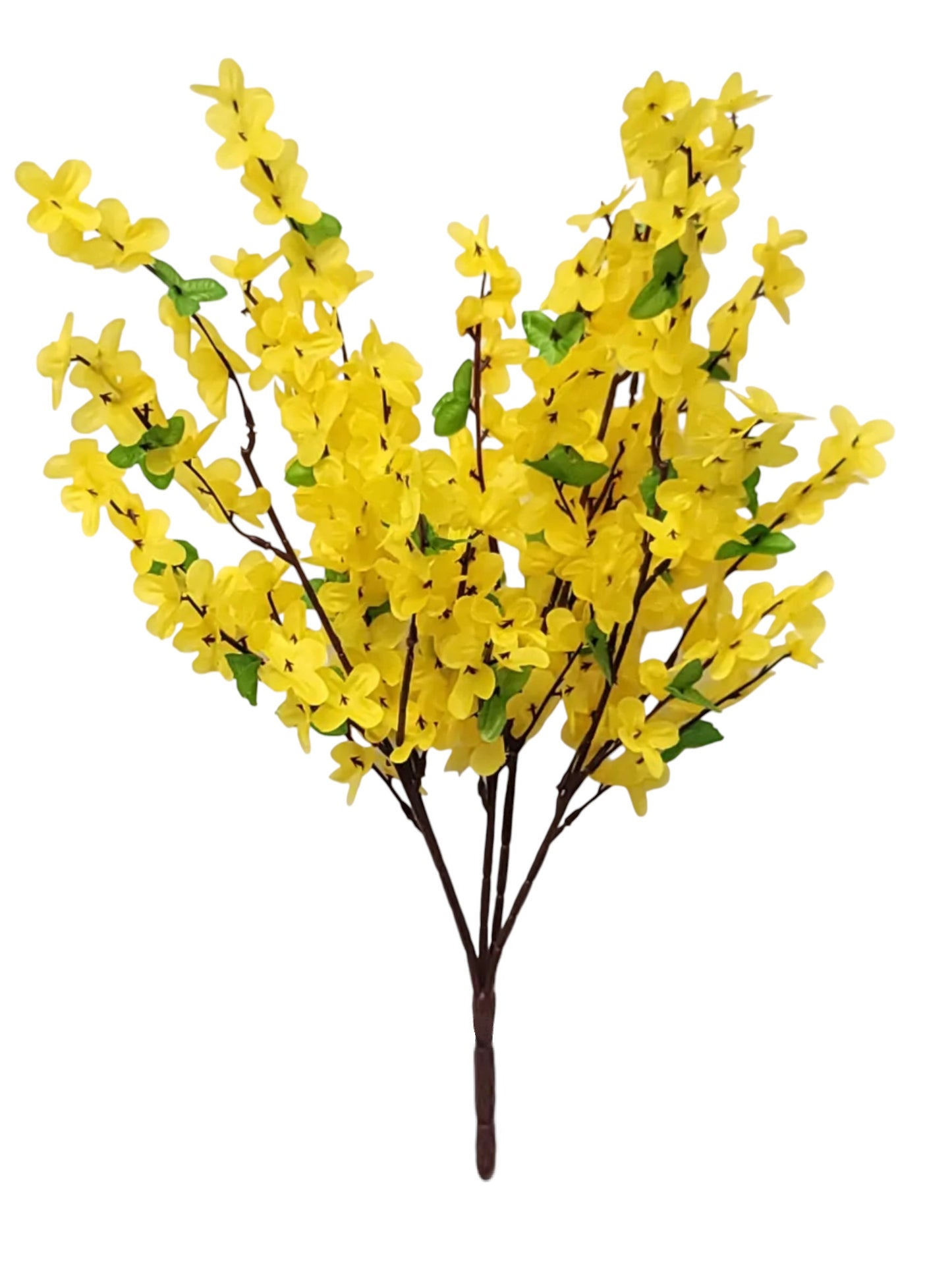 52002 | Forsythia Bush x5 | Yellow - A&B Wholesale Market Inc