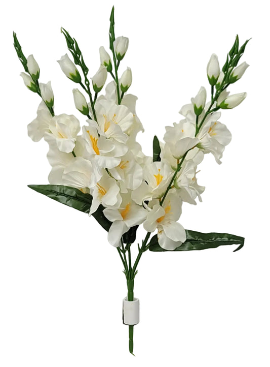 52451 | Gladiolus Bush x5 | Cream