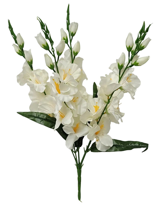 52451 | Gladiolus Bush x5 | Cream