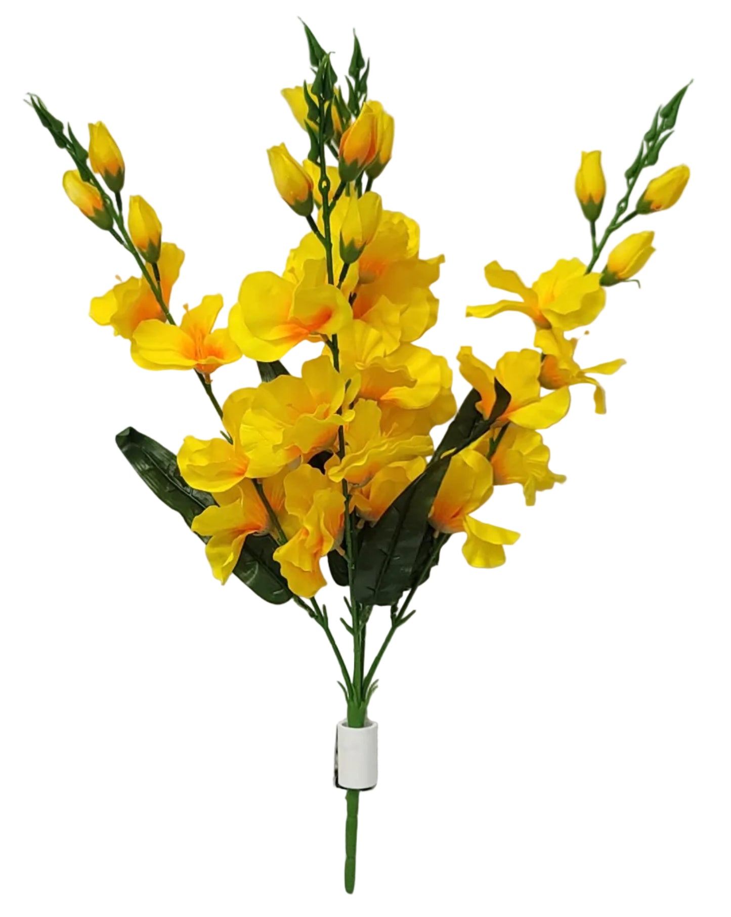 52452 | Gladiolus Bush x5 | Yellow