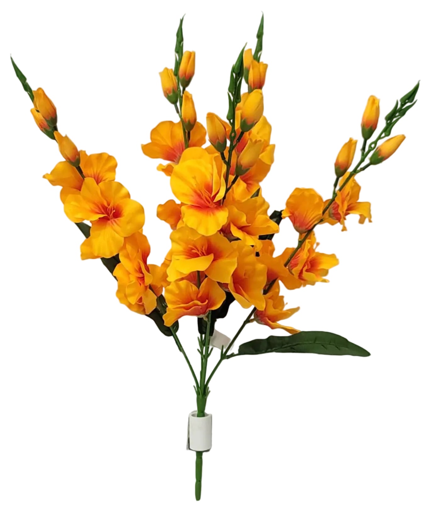 52453 | Gladiolus Bush x5 | Orange