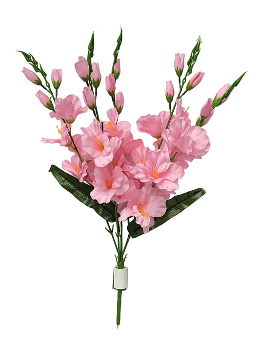 52456 | Gladiolus Bush x5 | Pink