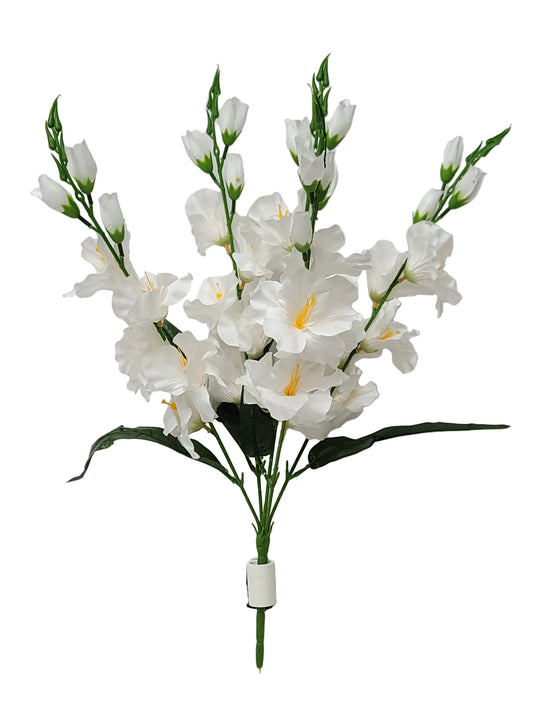 52458 | Gladiolus Bush x5 | White