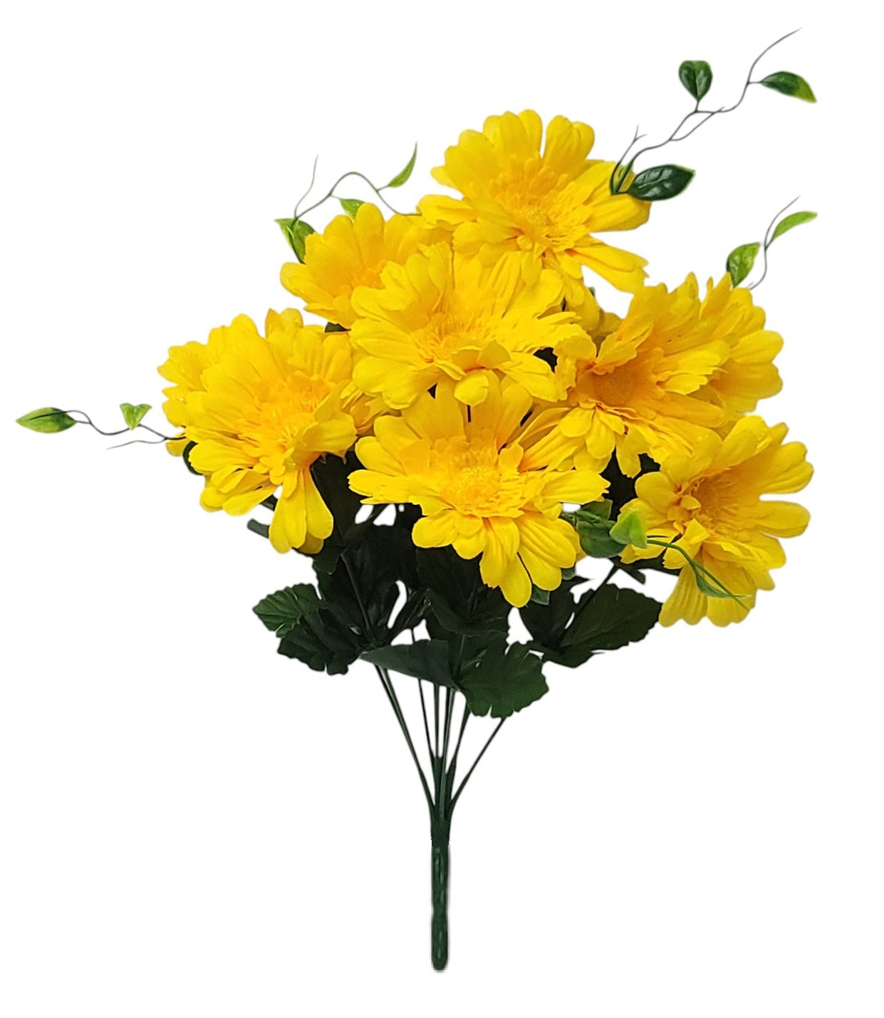 52532 | Zennia Bush x12 | Yellow