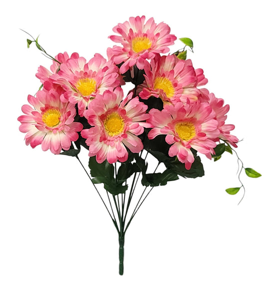 52535 | Zennia Bush x12 | Beauty - A&B Wholesale Market Inc