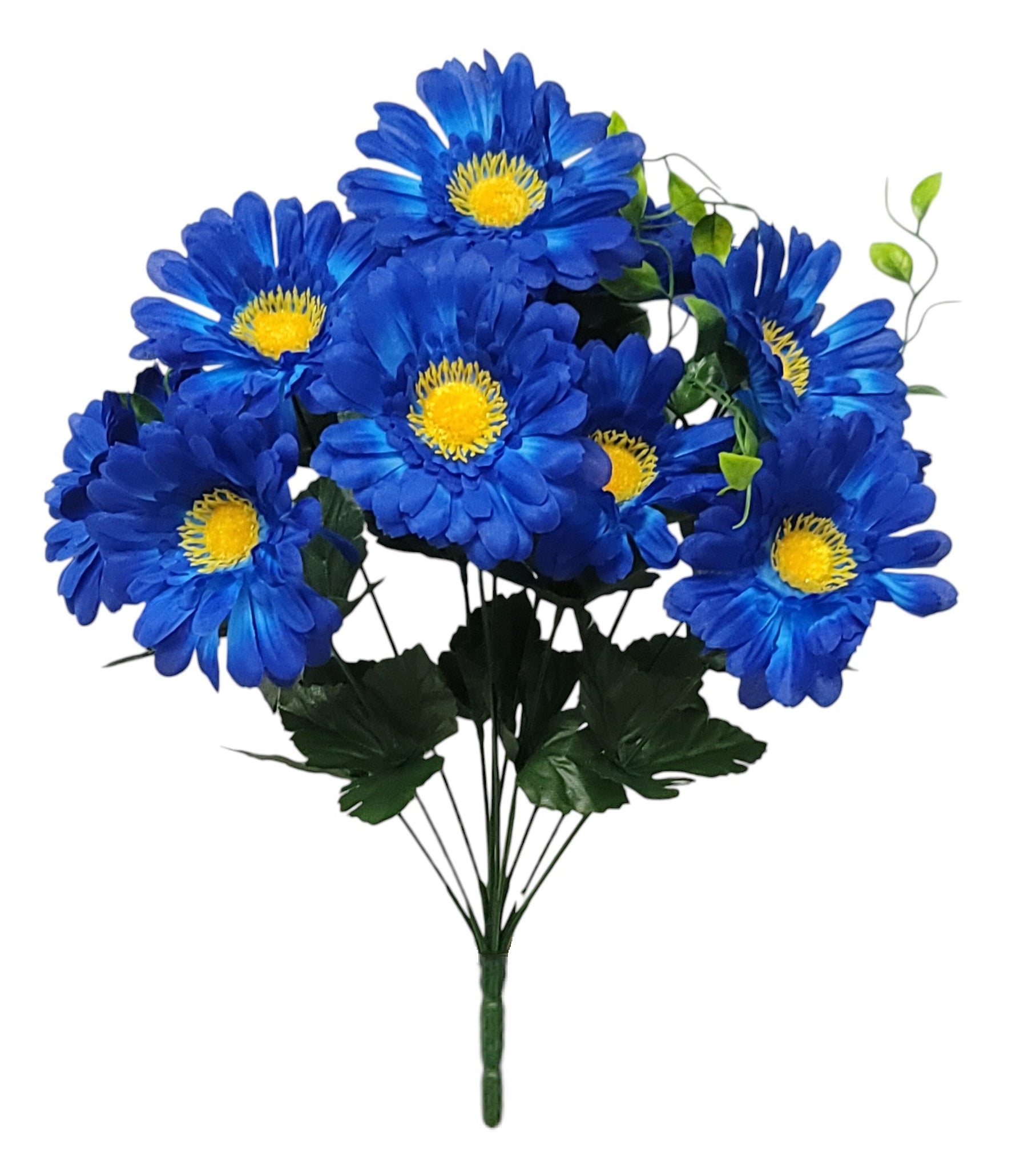 52538 | Zennia Bush x12 | Blue - A&B Wholesale Market Inc