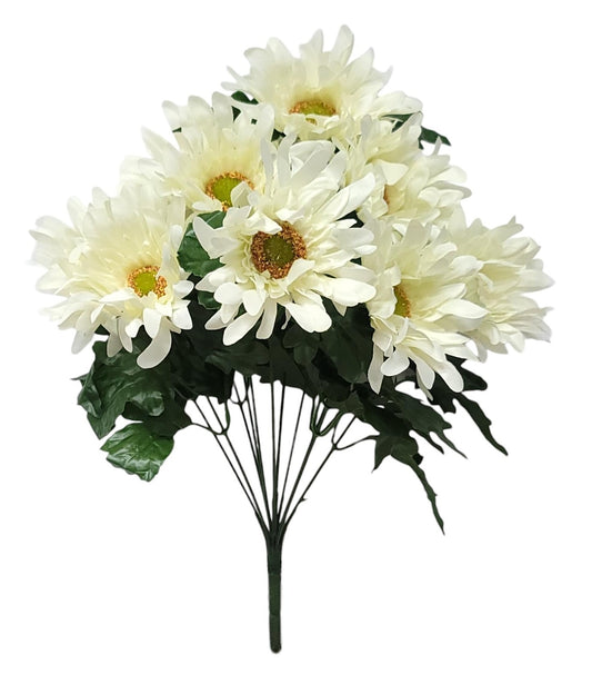 55461 | Spider Daisy x12 | Cream