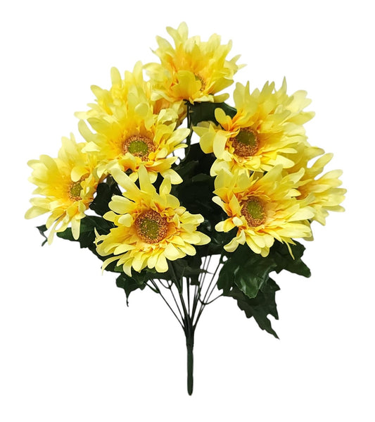 55462 | Spider Daisy x12 | Yellow