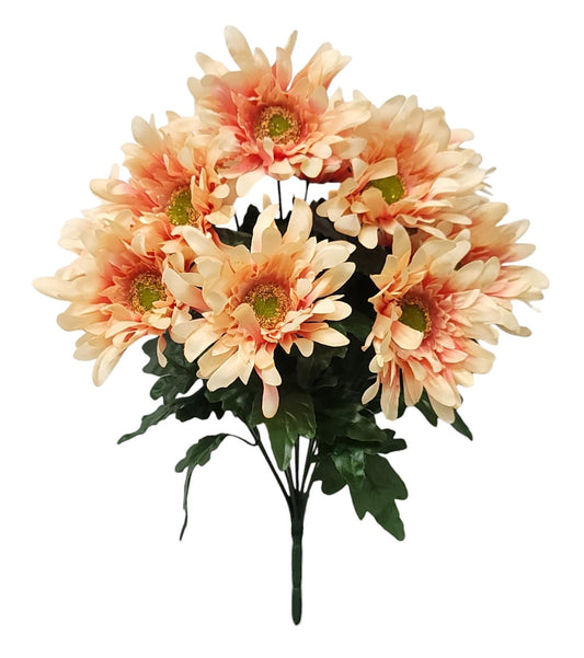 55465 | Spider Daisy x12 | Peach - A&B Wholesale Market Inc
