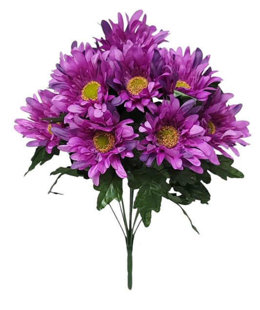 55467 | Spider Daisy x12 | Purple