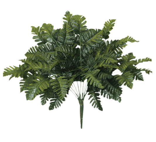 55661 | Leather Fern Bush x12