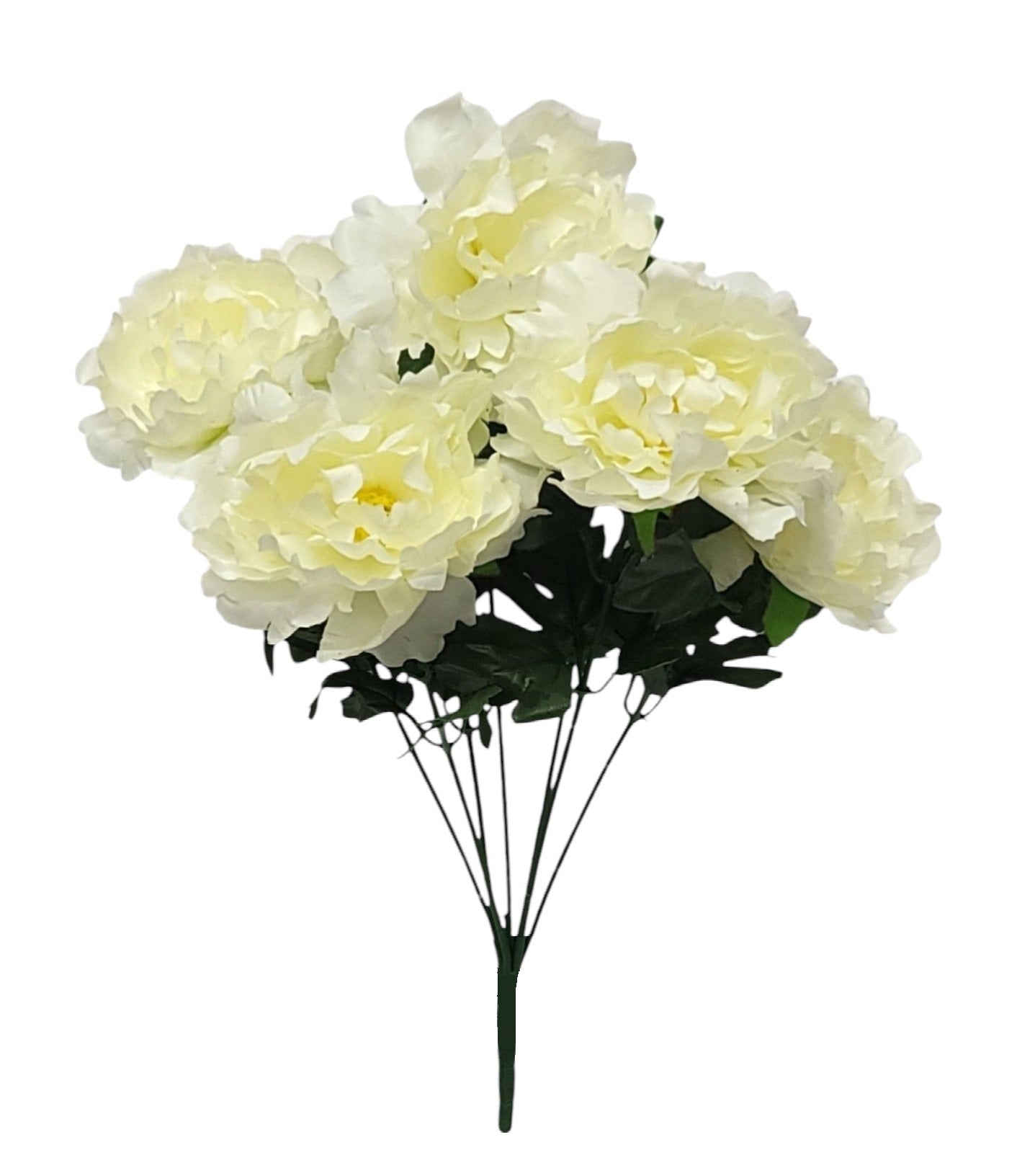 55931 | PEONY BUSH X7 | CREAM