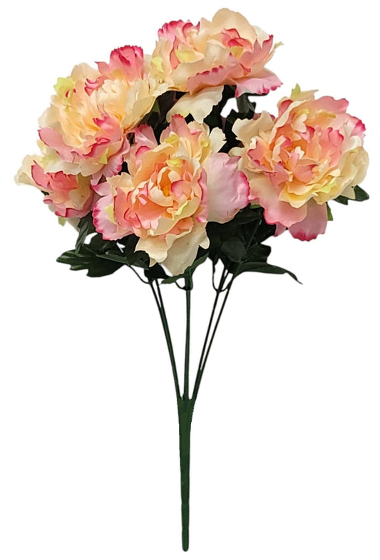 55934 | PEONY BUSH X7 | PEACH