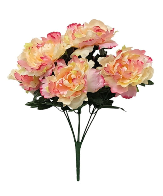 55934 | PEONY BUSH X7 | PEACH