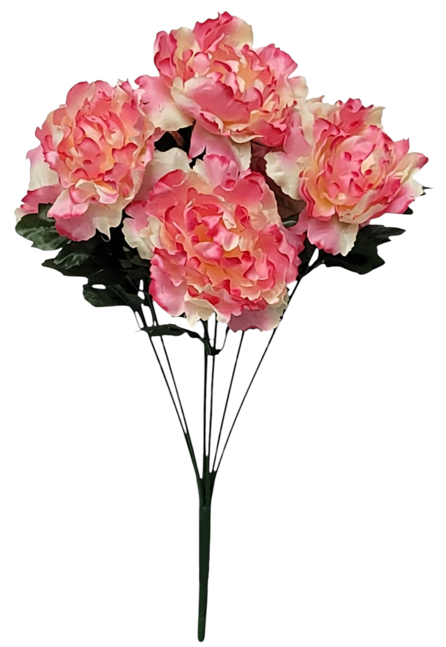 55935 | PEONY BUSH X7 | CREAM/PINK