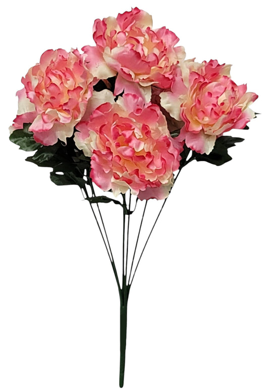 55935 | PEONY BUSH X7 | CREAM/PINK