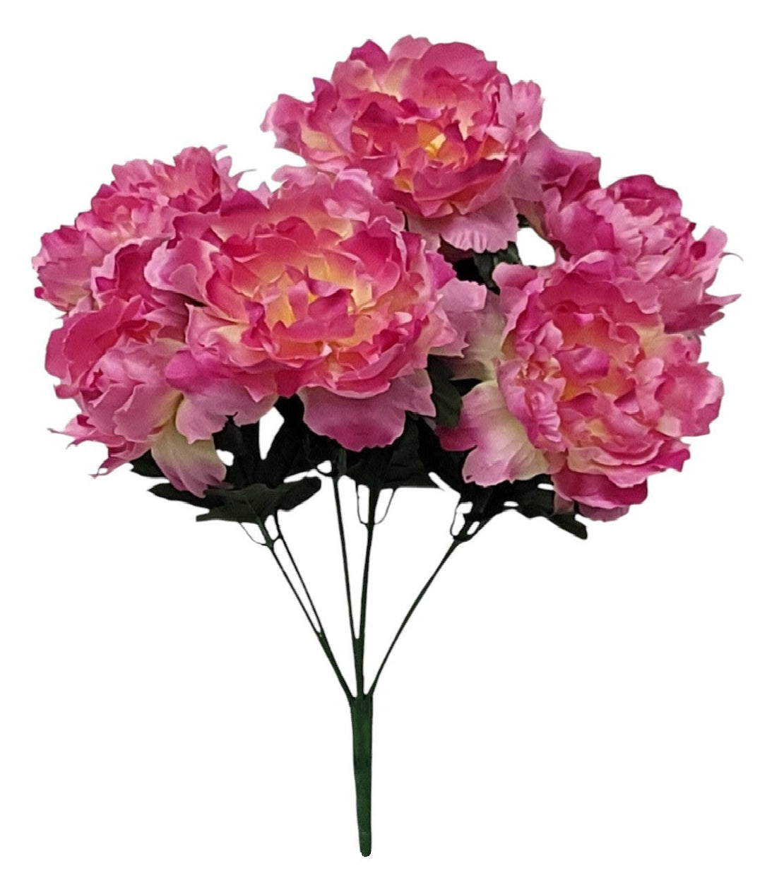 55936 | PEONY BUSH X7 | BEAUTY