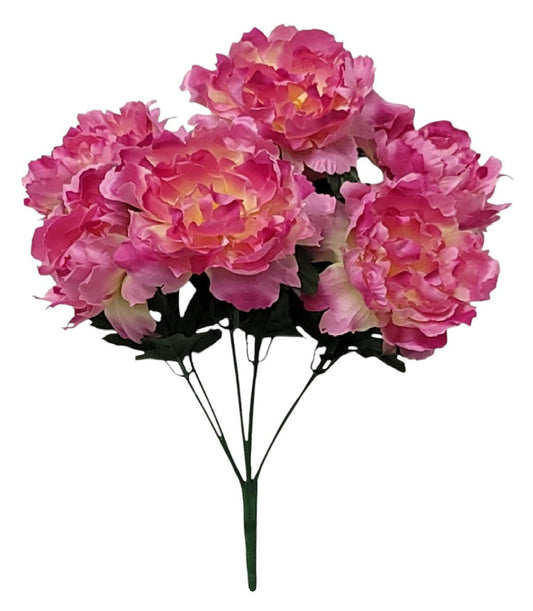 55936 | PEONY BUSH X7 | BEAUTY