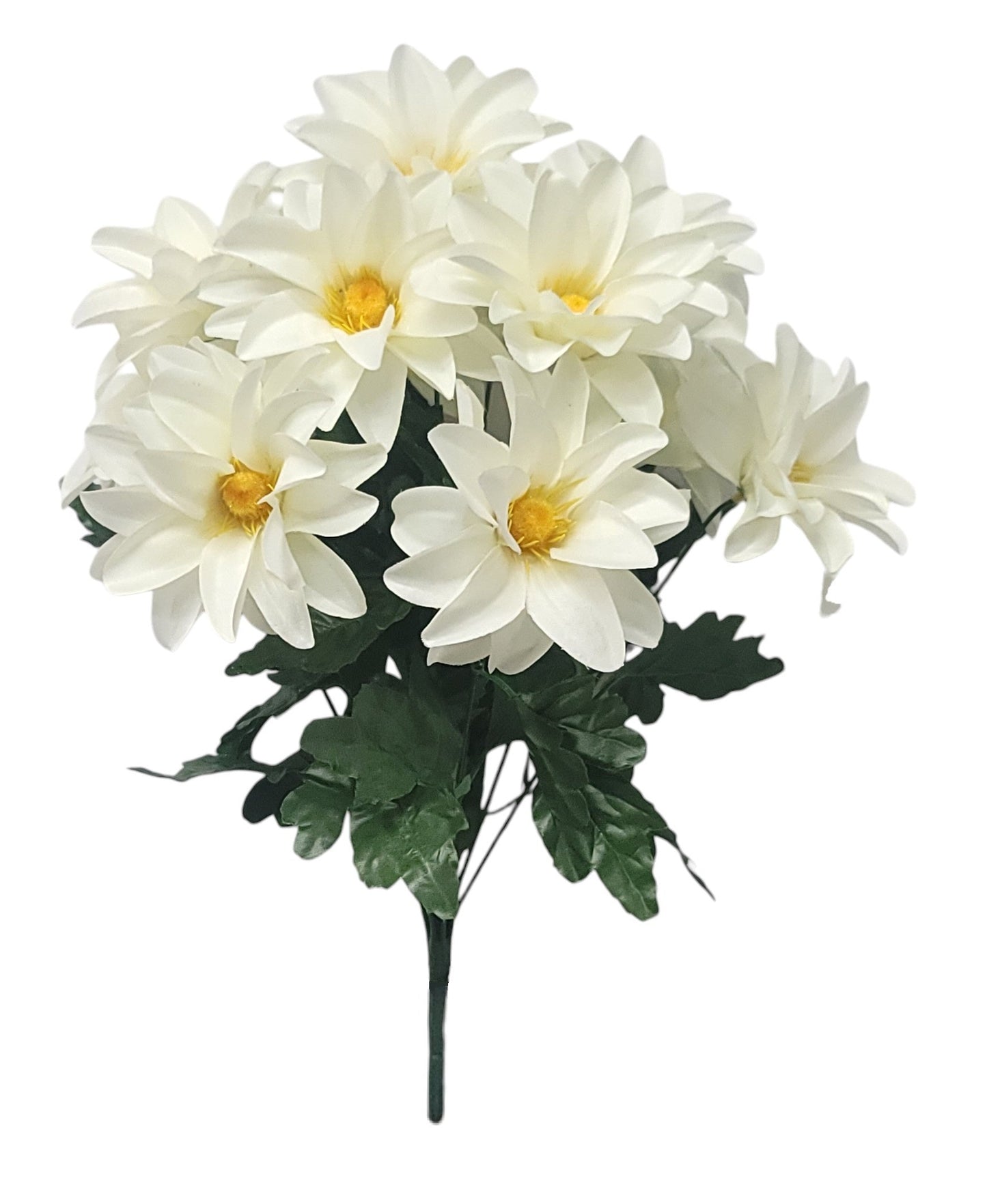 55991 | Corn Flower Bush x12 | Cream