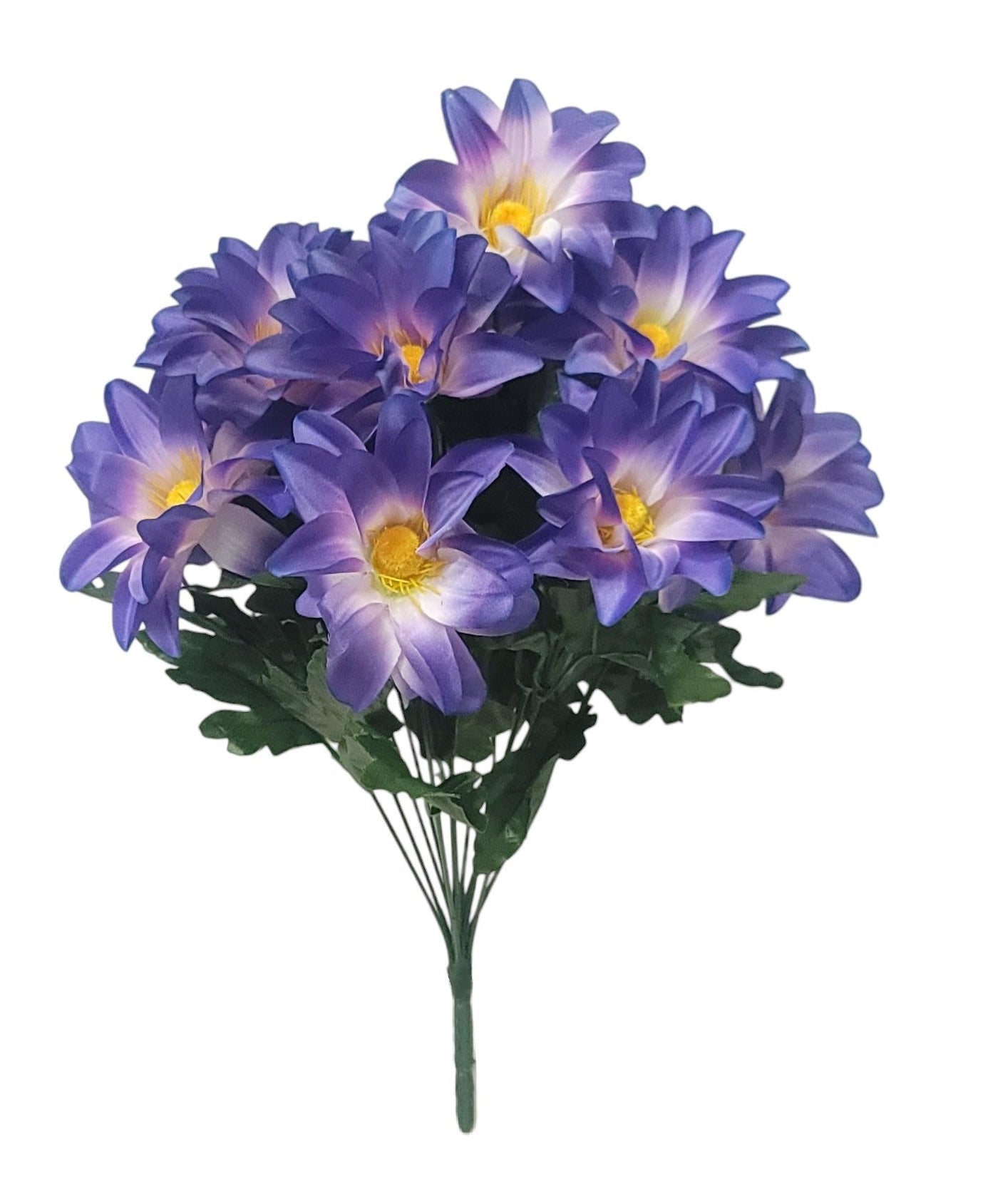 55999 | Corn Flower Bush x12 | Purple