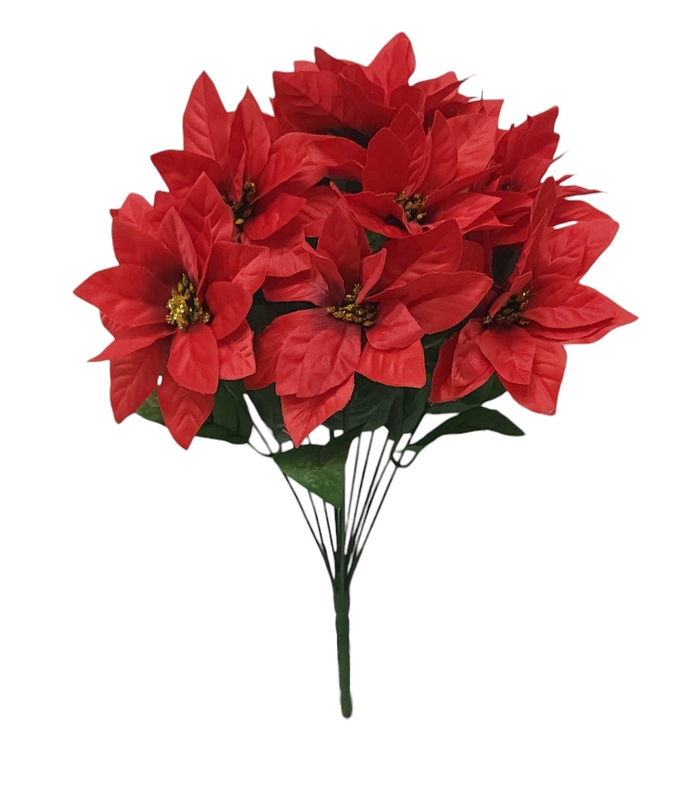 56331 | POINSETTIA BUSH X12 | RED