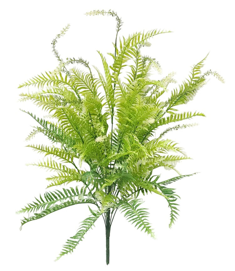 57202 | LG MIX FERN BUSH X18 | CREAM