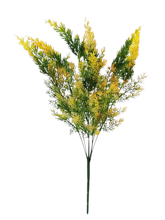 57234 | CEDAR BUSH X7 | ORANGE