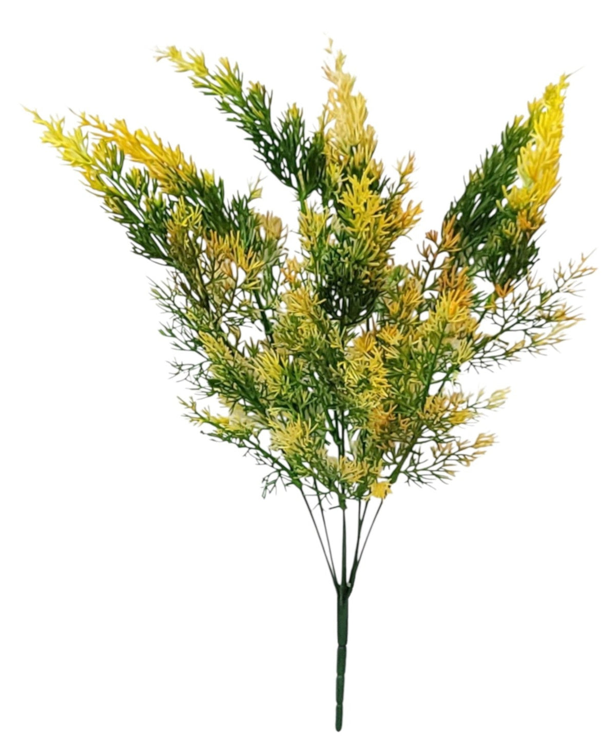 57234 | CEDAR BUSH X7 | ORANGE
