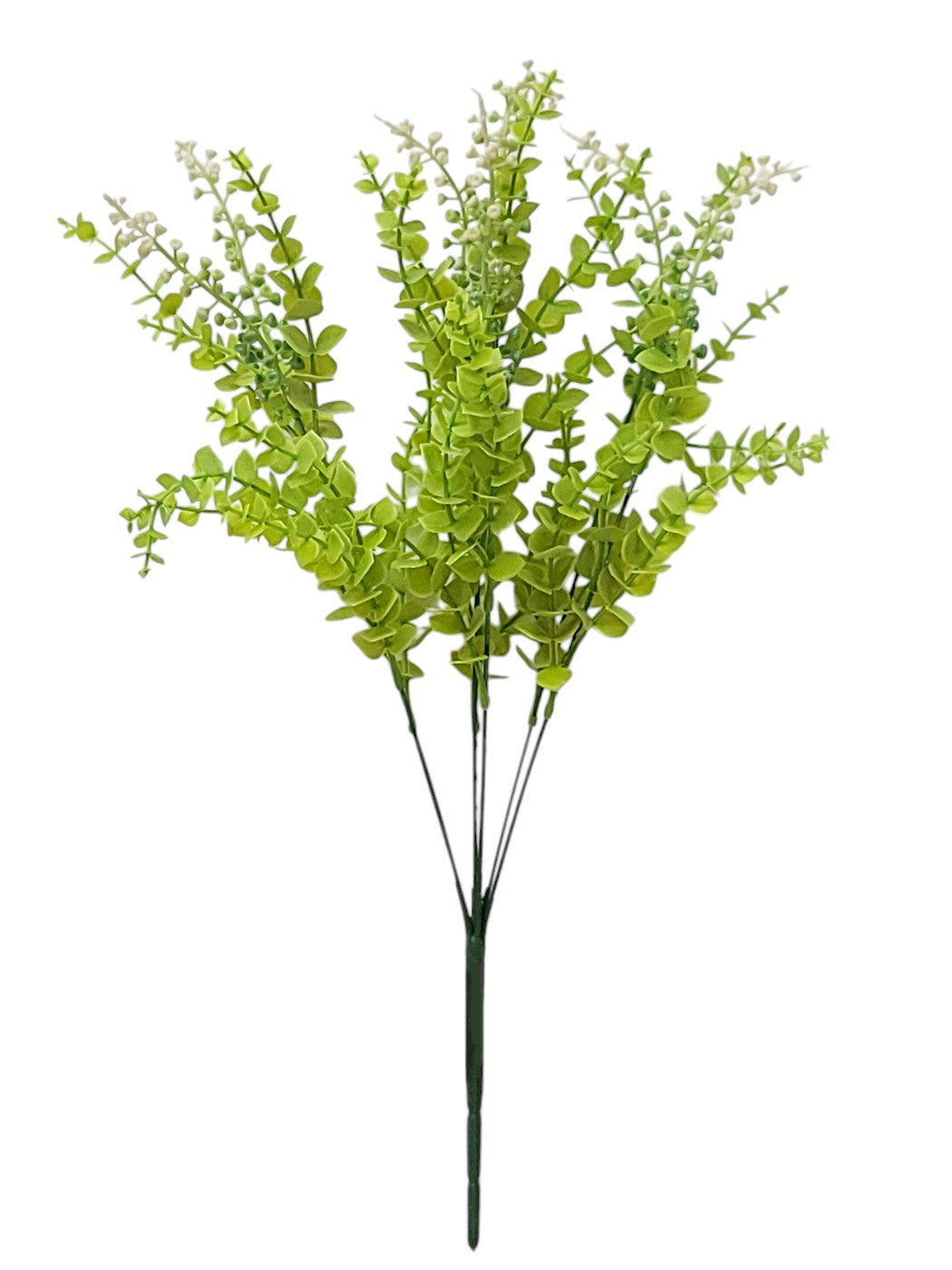 57252 | BOXWOOD BUSH X7 | FS. GREEN