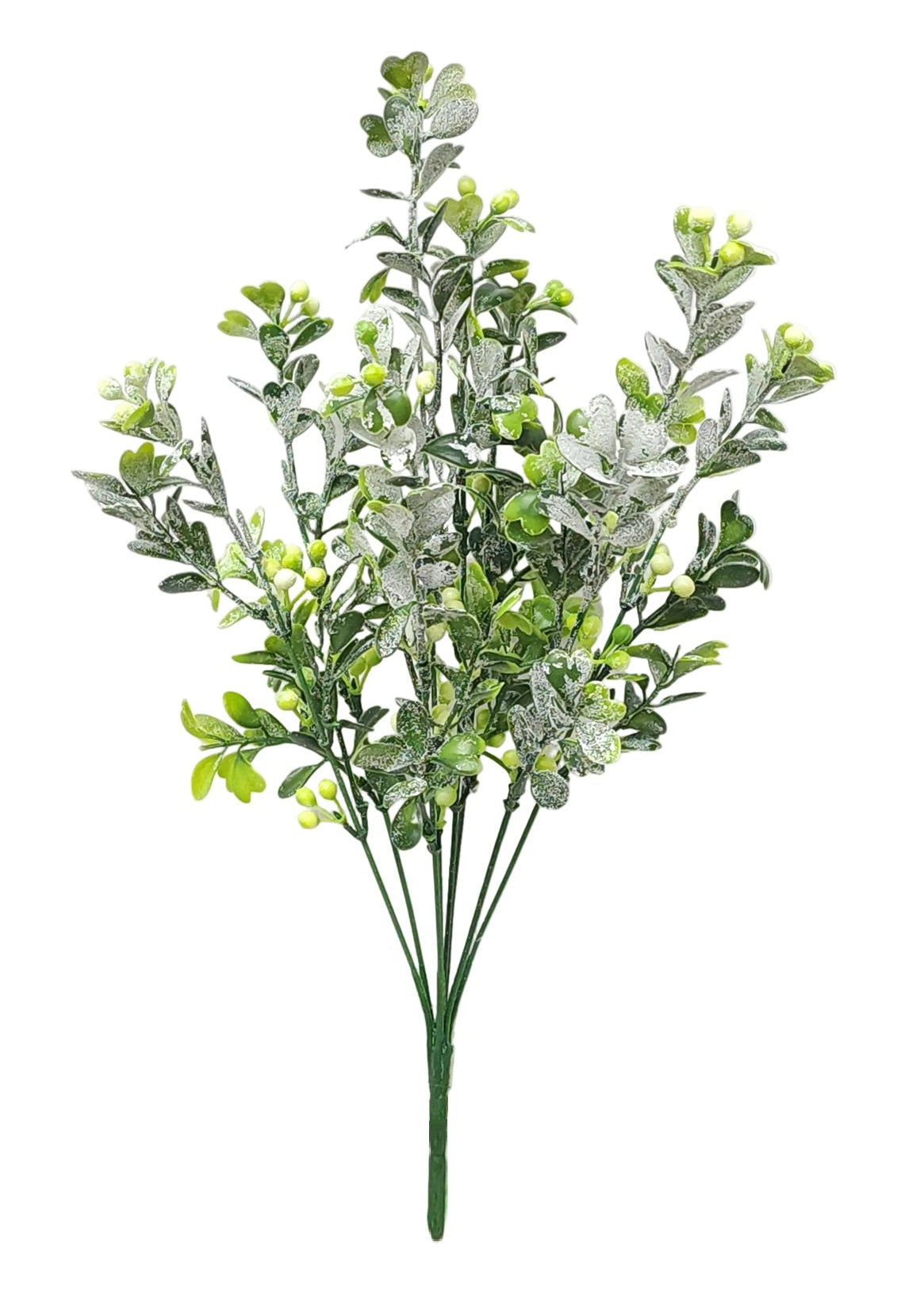 57264 | BOXWOOD W/BERRY X8 | FS. GREEN