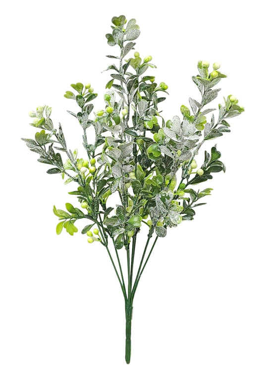 57264 | BOXWOOD W/BERRY X8 | FS. GREEN