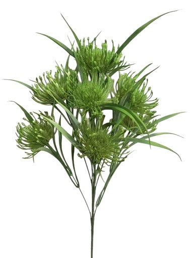 57371 Spider Mum x7- GREEN