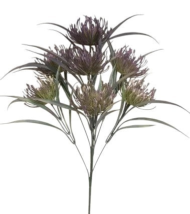 57378   Spider Mum x7- PURPLE