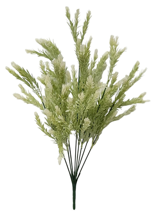 57751 | Rosemary Bush x8 | Cream
