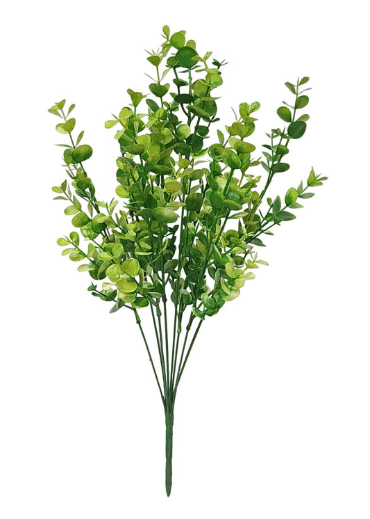 57821 | BOXWOOD BUSH X8 | GREEN