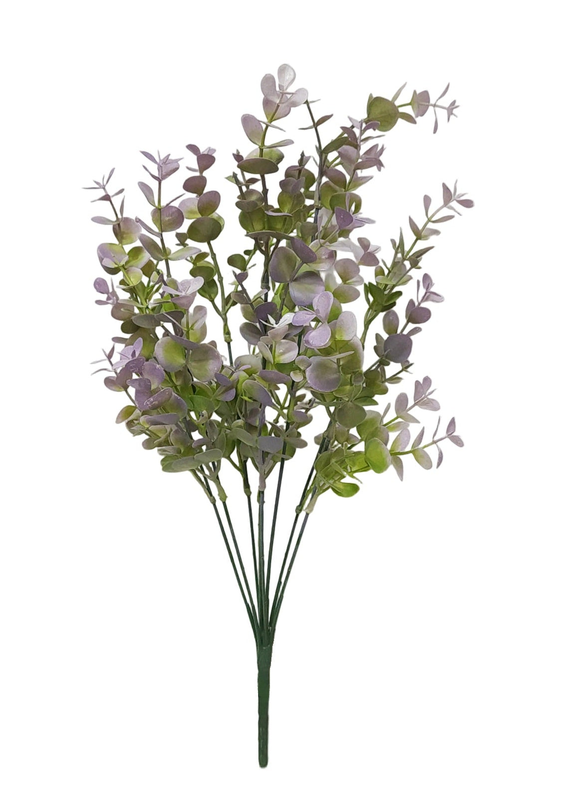 57827 | BOXWOOD BUSH X8 | PURPLE