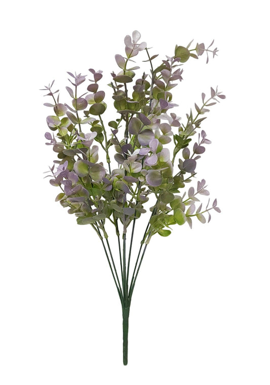 57827 | BOXWOOD BUSH X8 | PURPLE