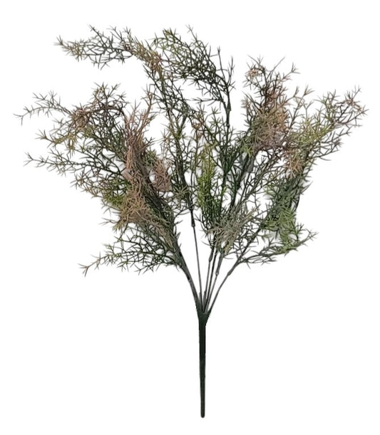 57916 | Springeri Bush x8 | PINK