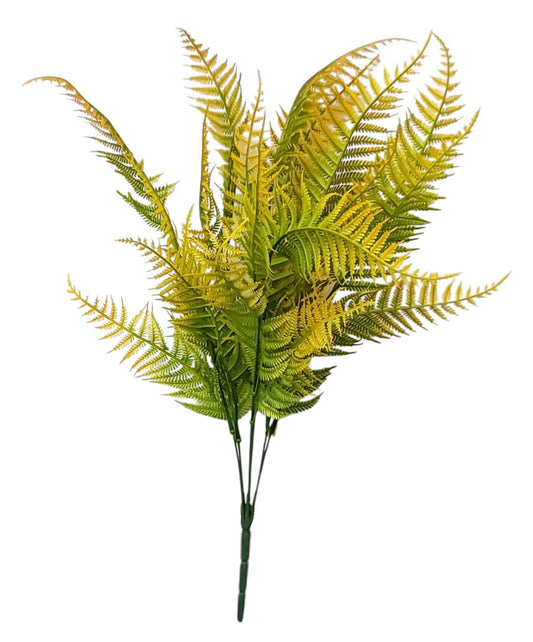 58174 | FERN BUSH X7 | ORANGE