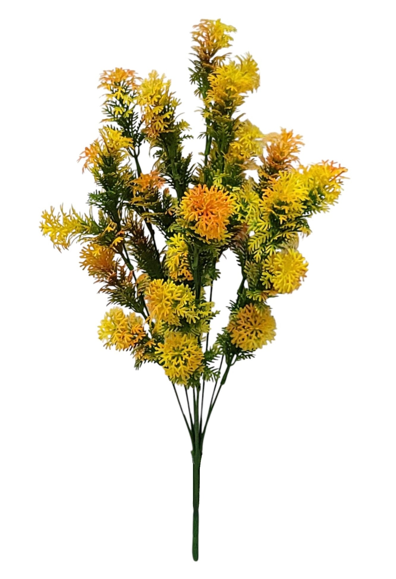 58523 | CEDAR BUSH X8 | ORANGE/YELLOW