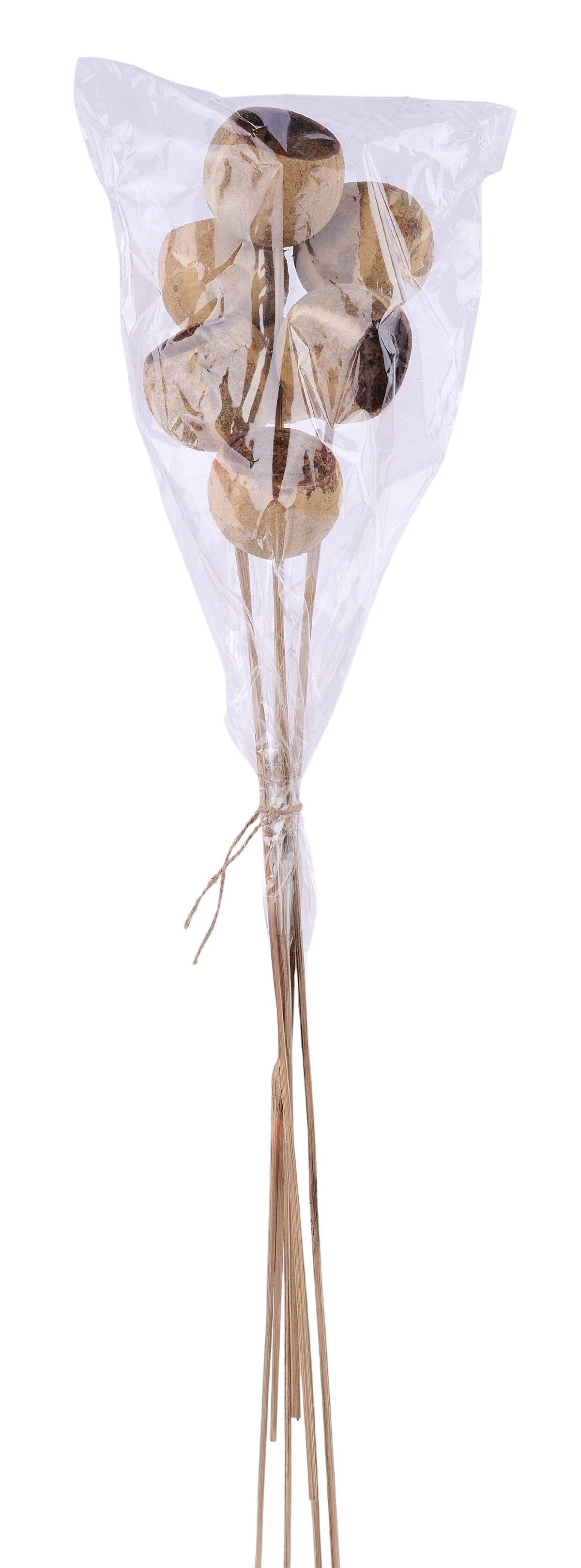 TT3113 | 21"L | Pumpkin Bell Cup/Bamboo Stem Bundle | Natural