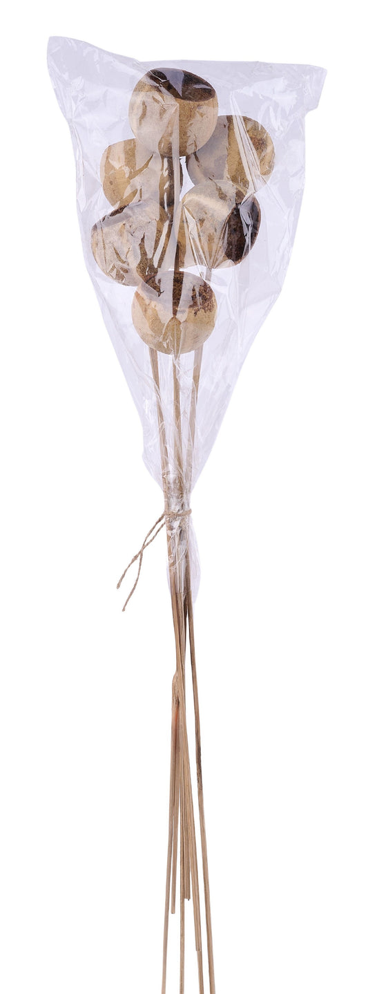 TT3113 | 21"L | Pumpkin Bell Cup/Bamboo Stem Bundle | Natural