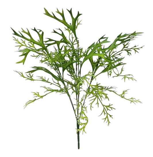 59681 | Staghorn Mix x7 | Green
