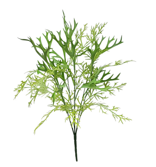 59682 | Staghorn Mix x7 | Fs. Green - A&B Wholesale Market Inc