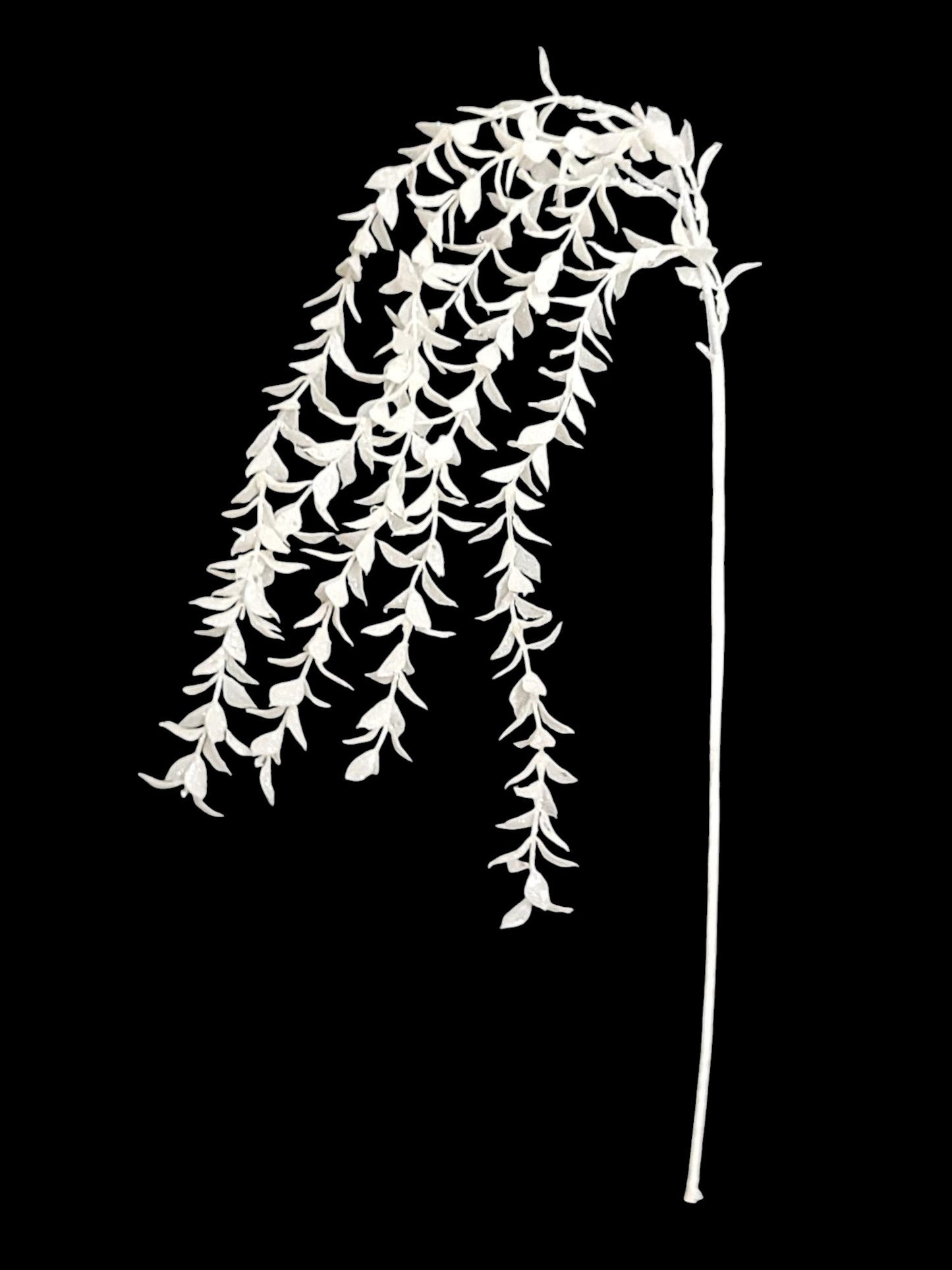 60316 | XMAS LONG BOXWOOD SPRAY | WHITE